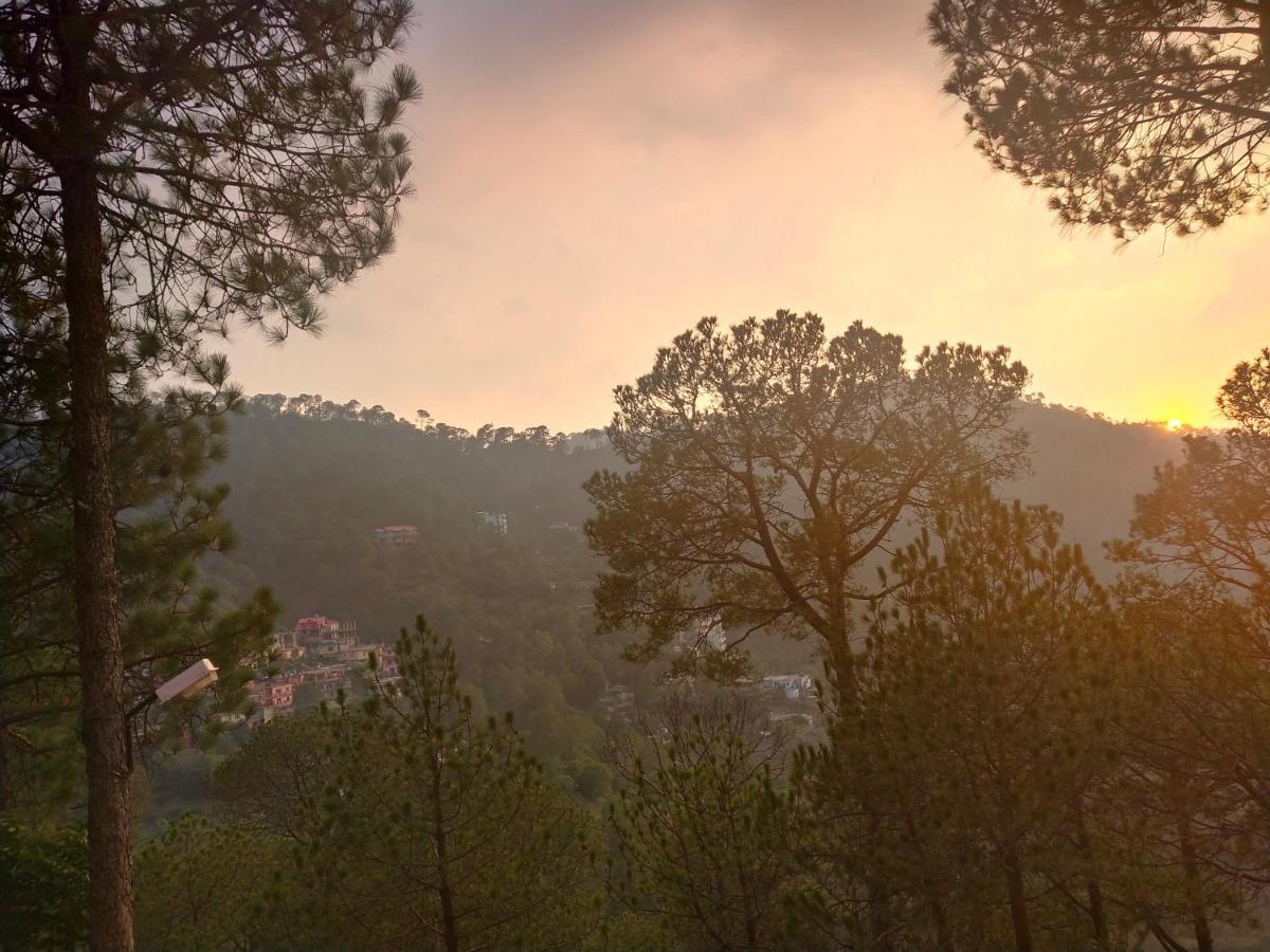 Pine Villa Касаули Екстериор снимка