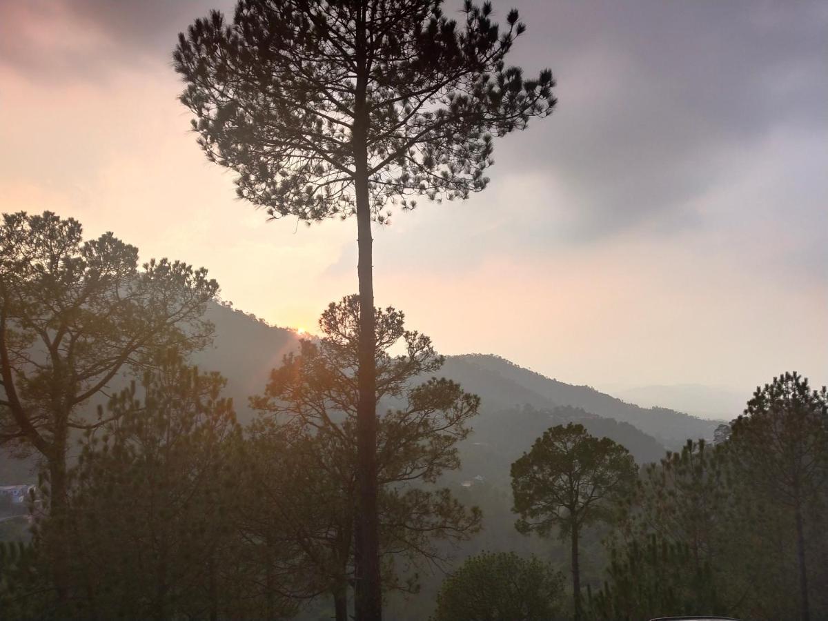 Pine Villa Касаули Екстериор снимка