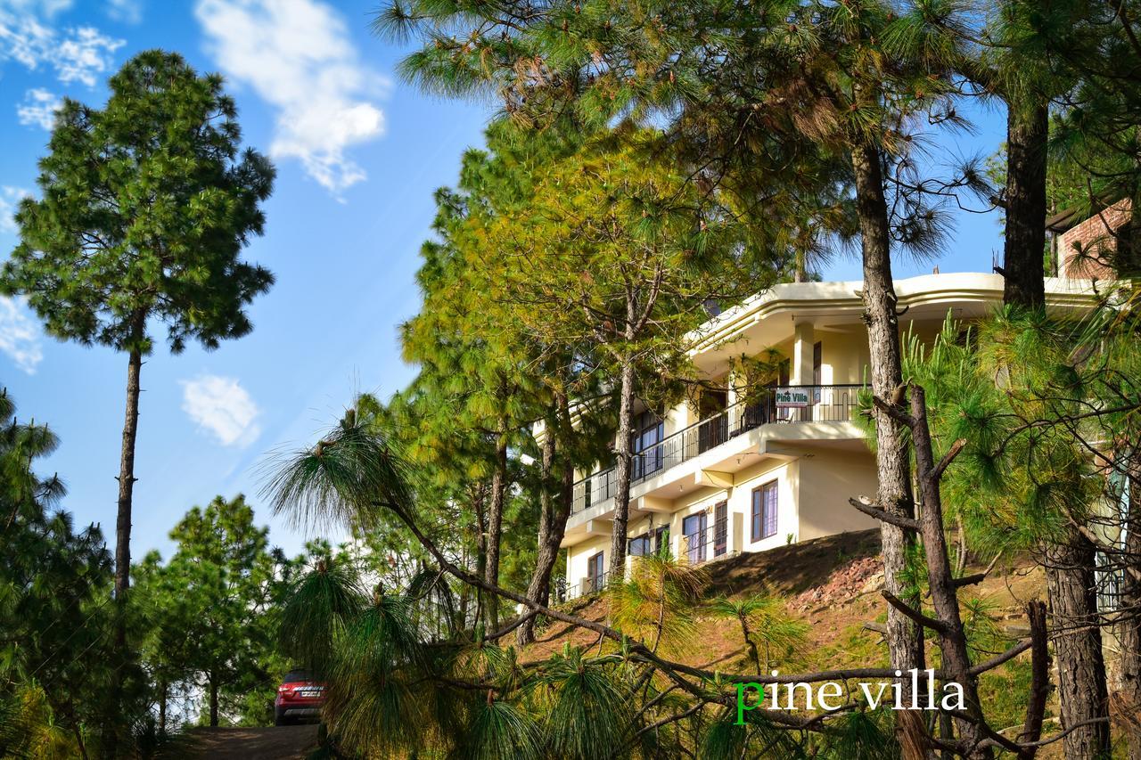Pine Villa Касаули Екстериор снимка